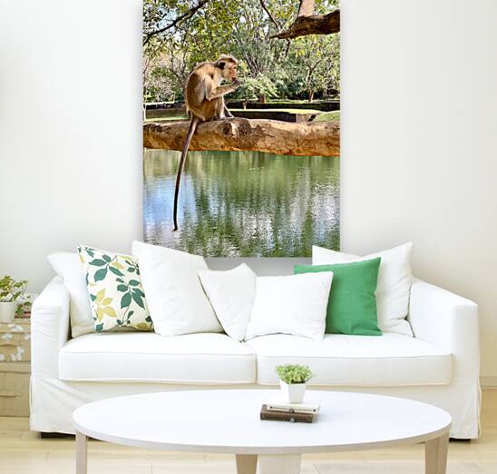 Monkey on a Branch Reproduction