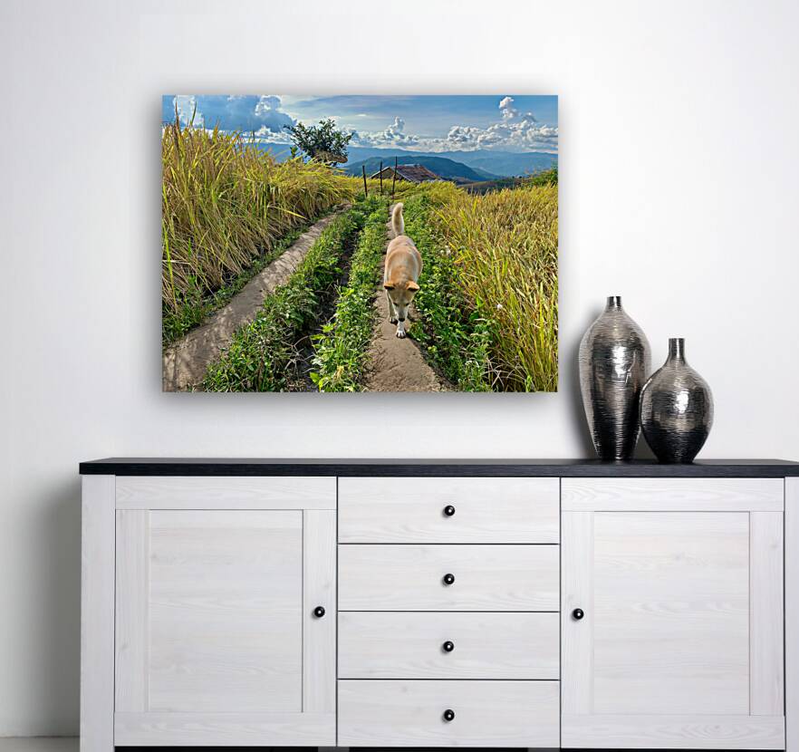 Vagabond Dog Reproduction