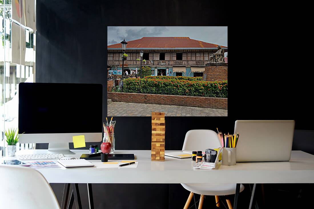 Centre of Vigan Reproduction