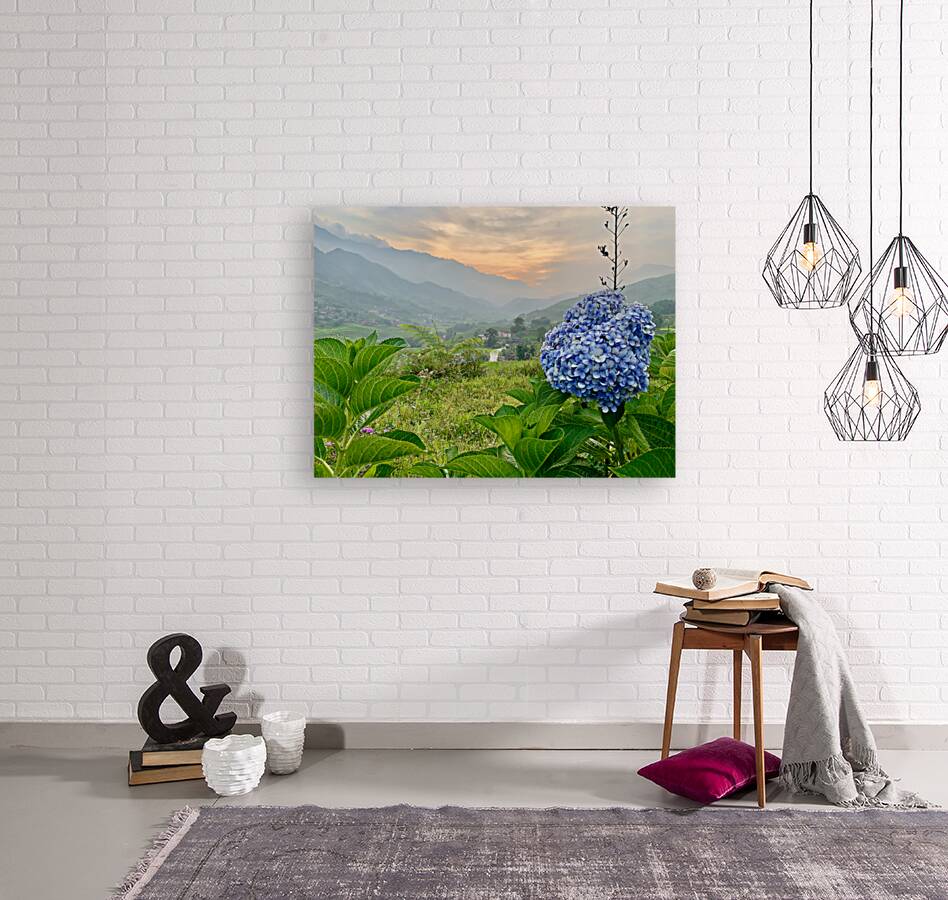 Purple Flowers for Sunset 2 Reproduction