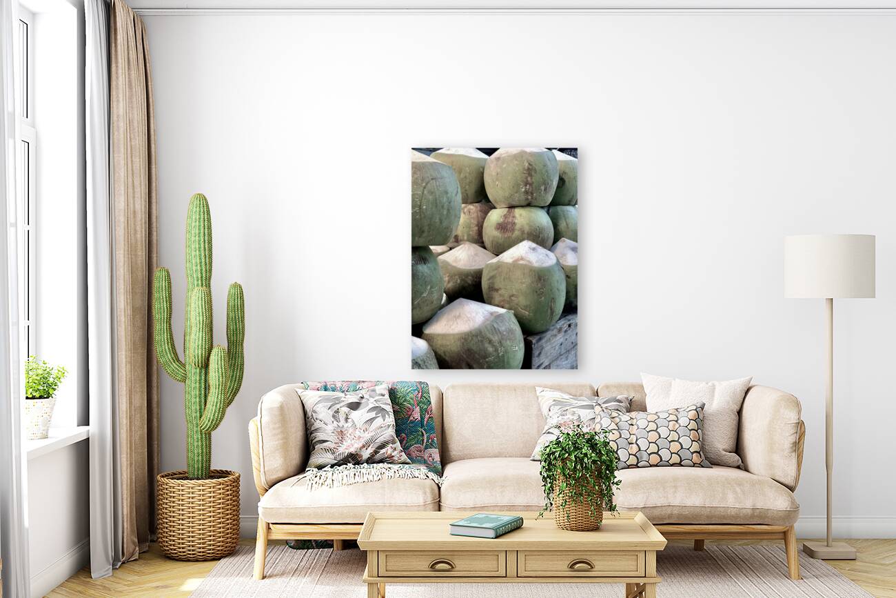 Coconut Stack Reproduction