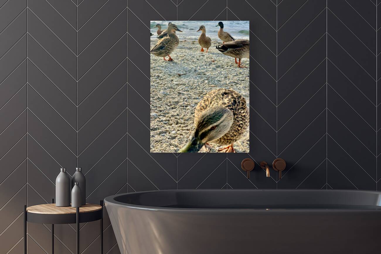 Ducks on the Beach Reproduction