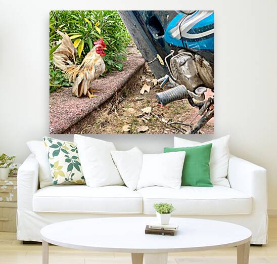 Rooster Bike Reproduction