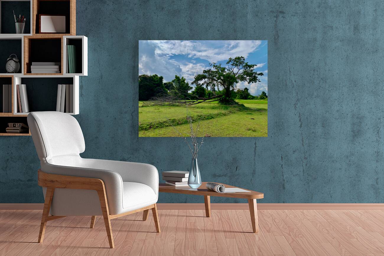 Life  and Death Reproduction