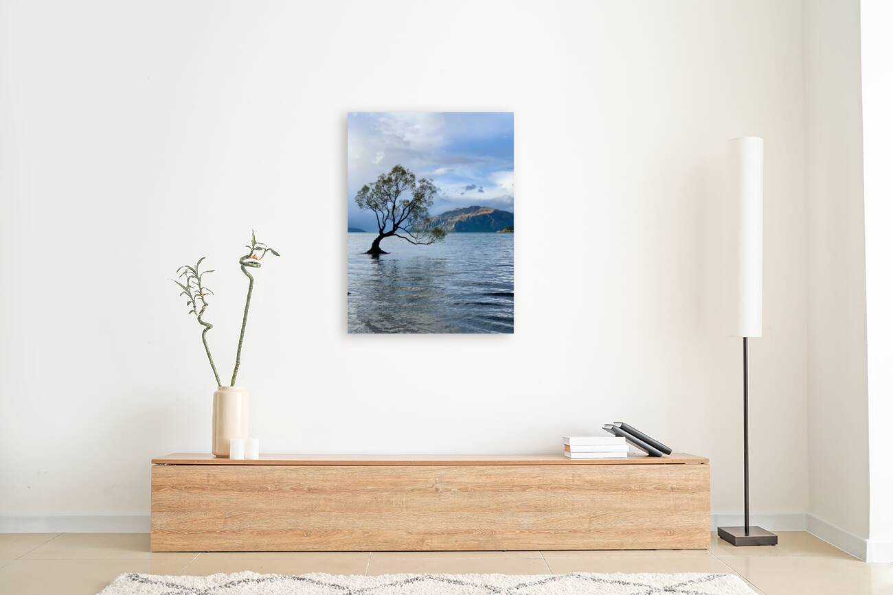 The Wanaka Tree New Zealand 2 Reproduction