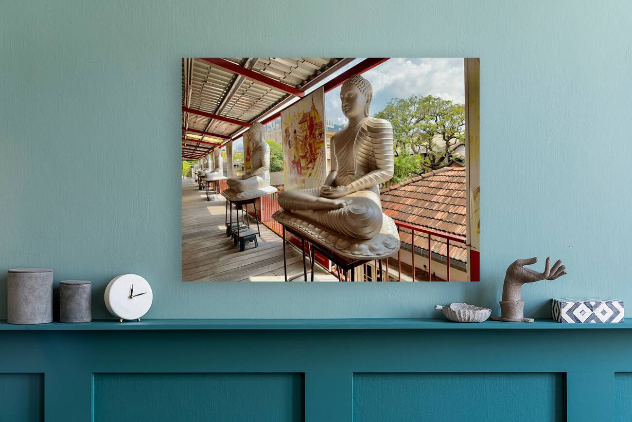 The White Buddhas Reproduction