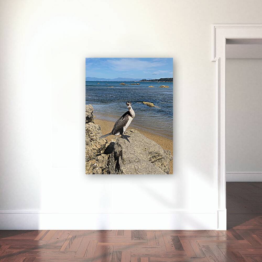 Angry Bird Reproduction