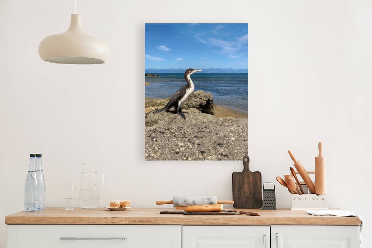 Bird Looking Straight Ahead Reproduction