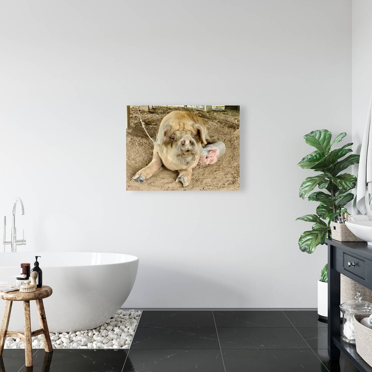 Hello Piggy Reproduction