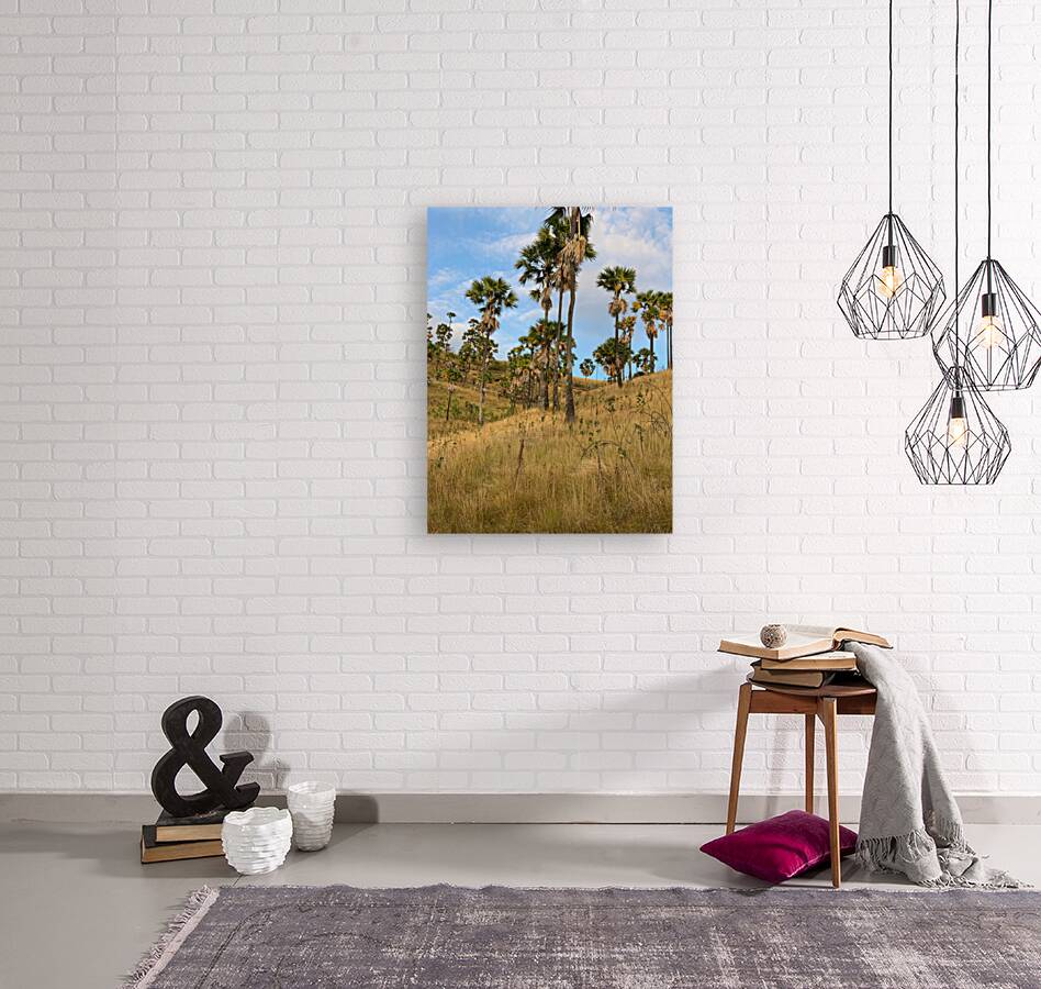 Palm Trees on the Hills Reproduction