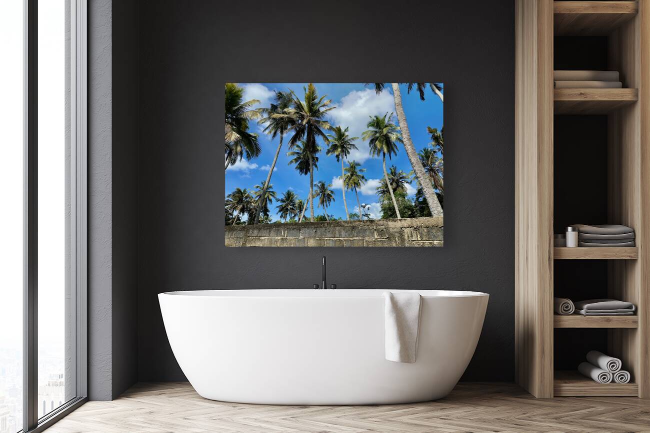 Palm Trees behind the Wall Reproduction