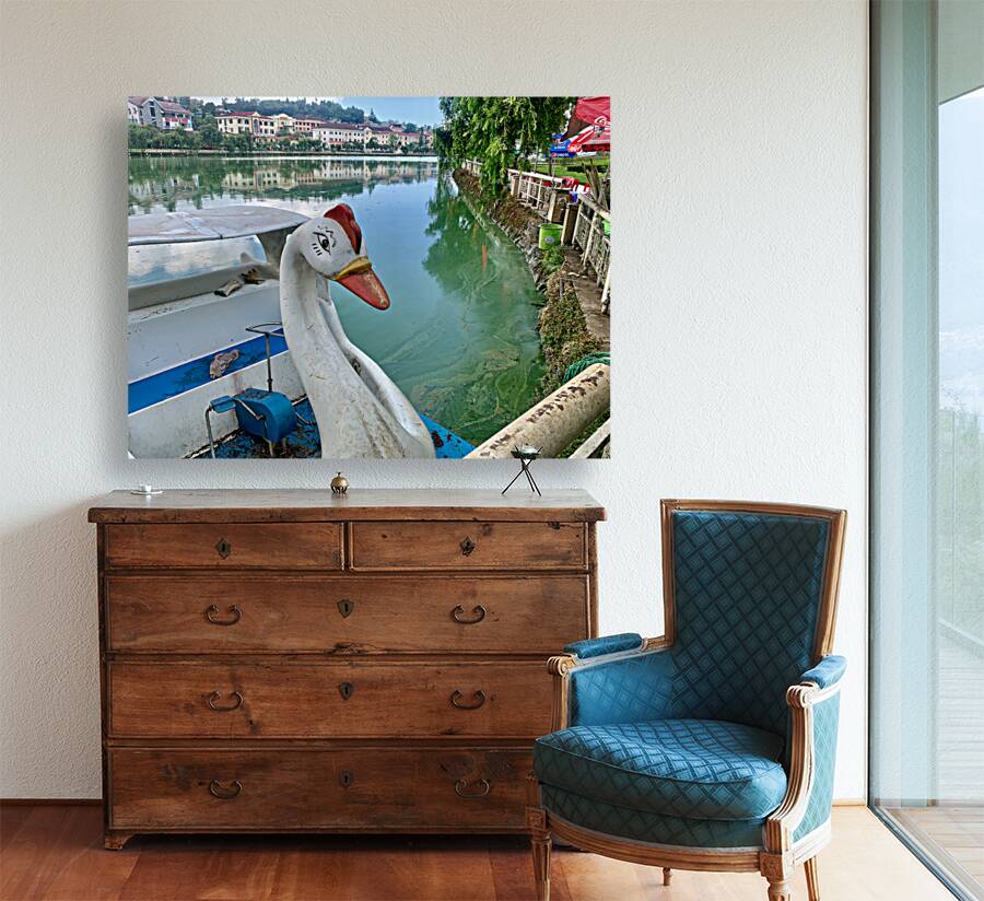 Swan Boat on the Lake Reproduction