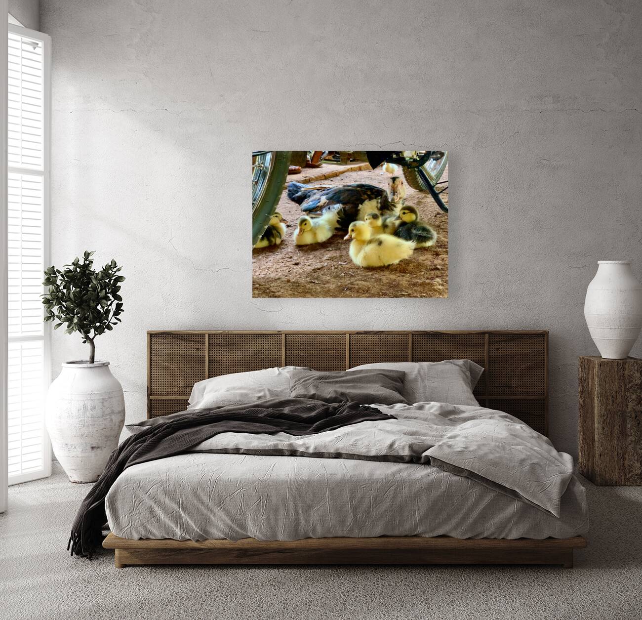 The Duck Family Reproduction