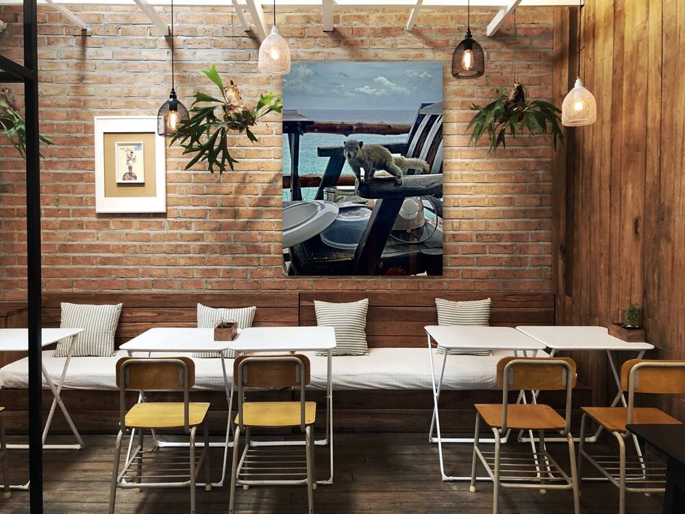 Squirrel Peaking in the House Reproduction