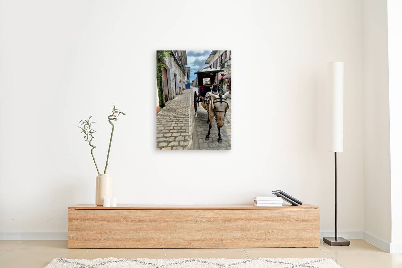 Horse Around Vigan Philippines Reproduction