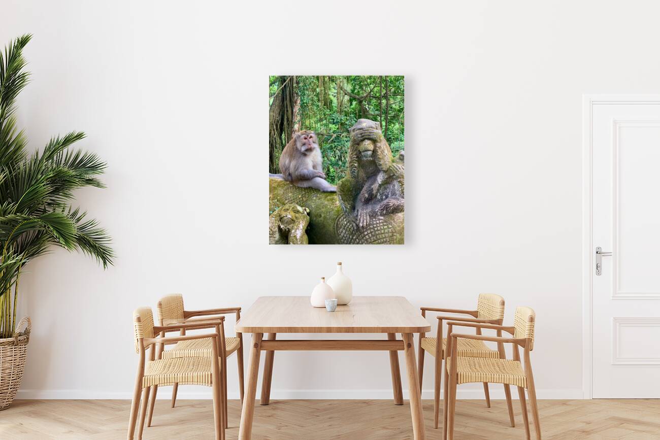 Are you for Real Monkey  Reproduction