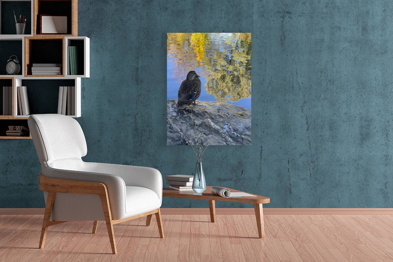 Duck like a Painting Reproduction
