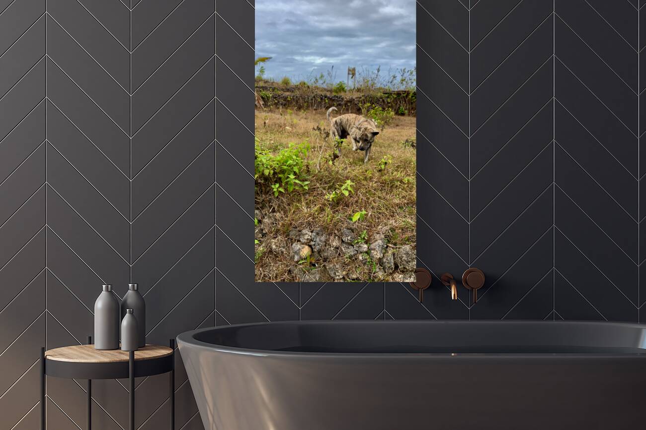 Dog in the Field Reproduction