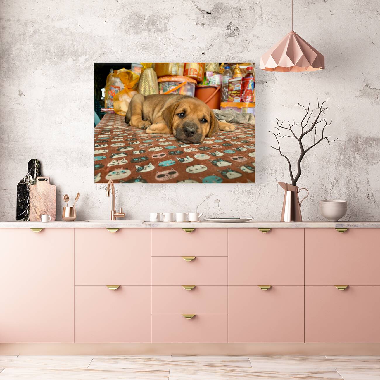 Sleepy Puppy Reproduction