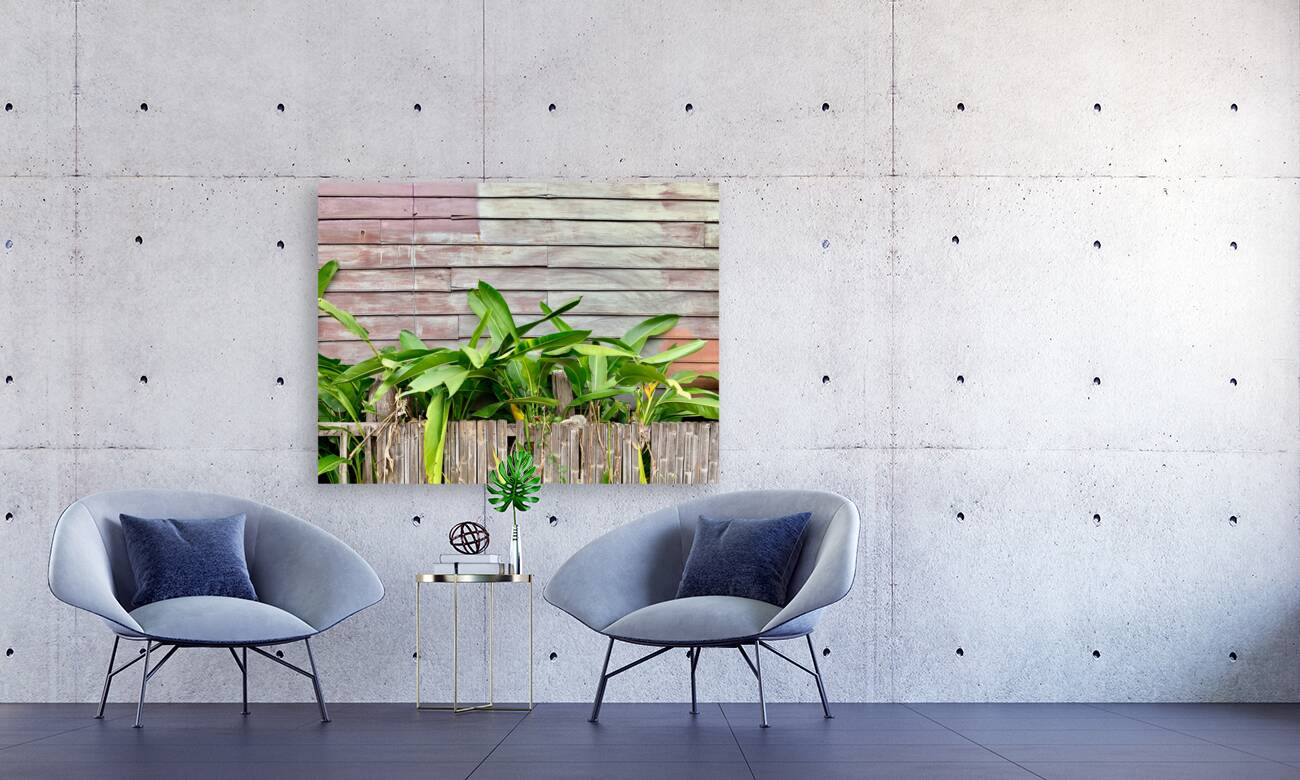 Plants Growing on the Side of the House Reproduction