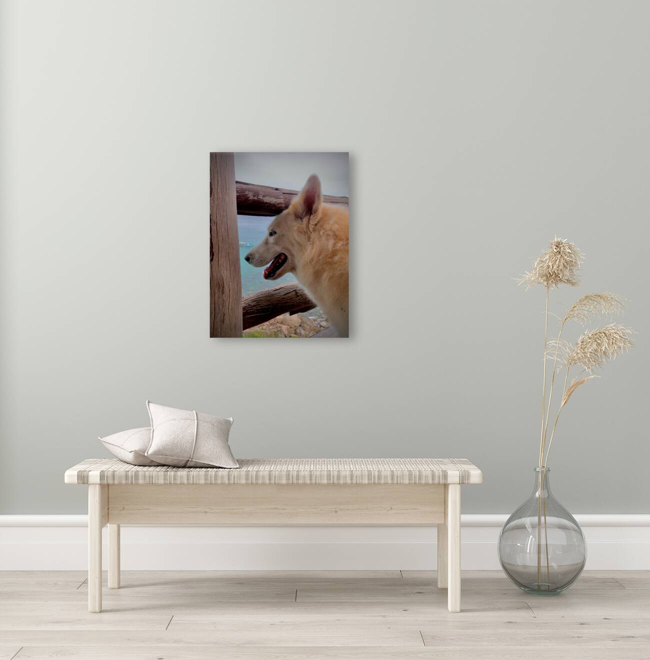 Beatiful White Dog Looking at the Sea Reproduction