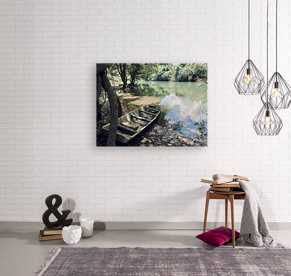 Abandoned Boat Reproduction