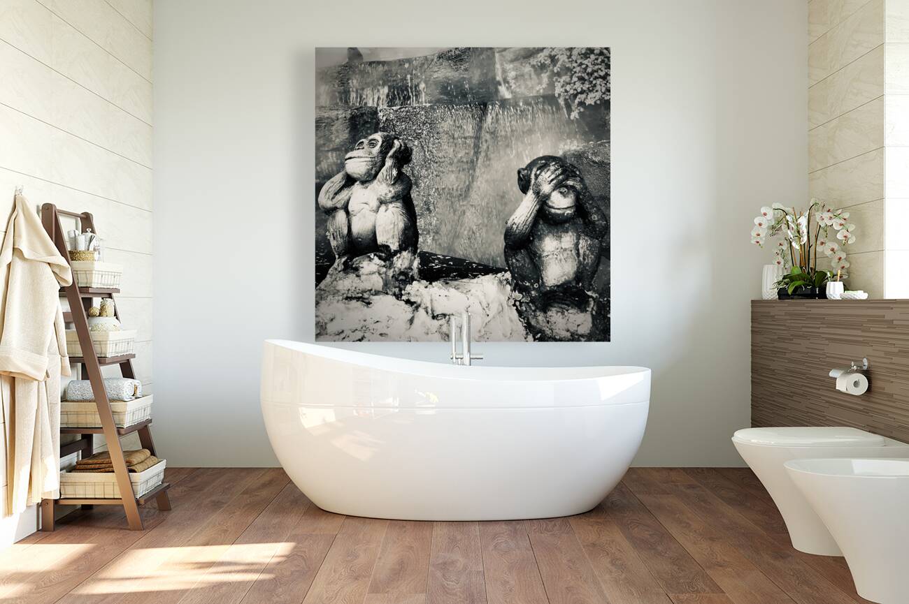 BW Didn t See it Didn t Hear it Monkeys Reproduction