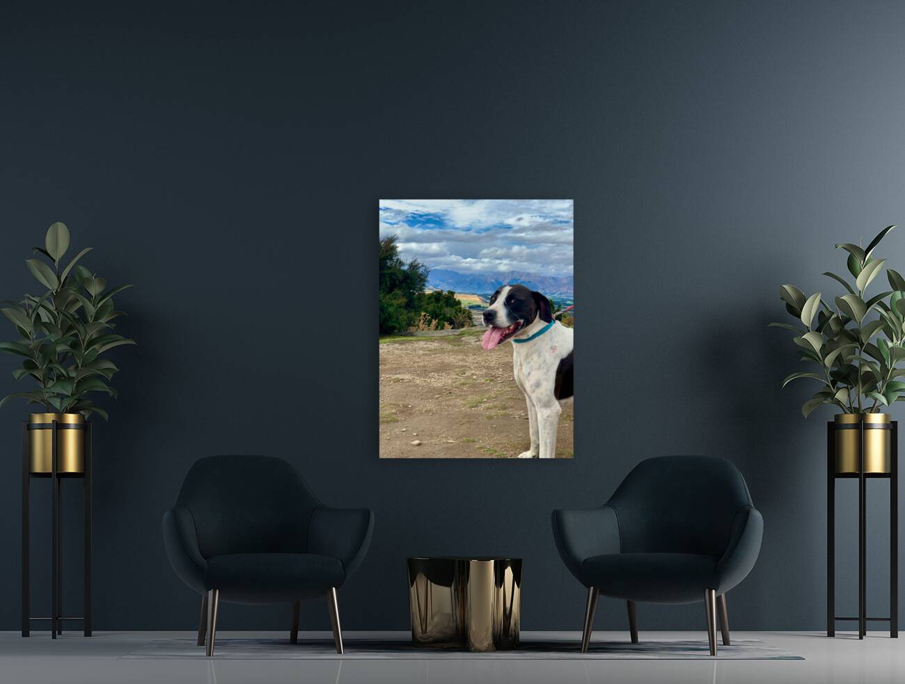 Dog on Mount Iron New Zealand Reproduction