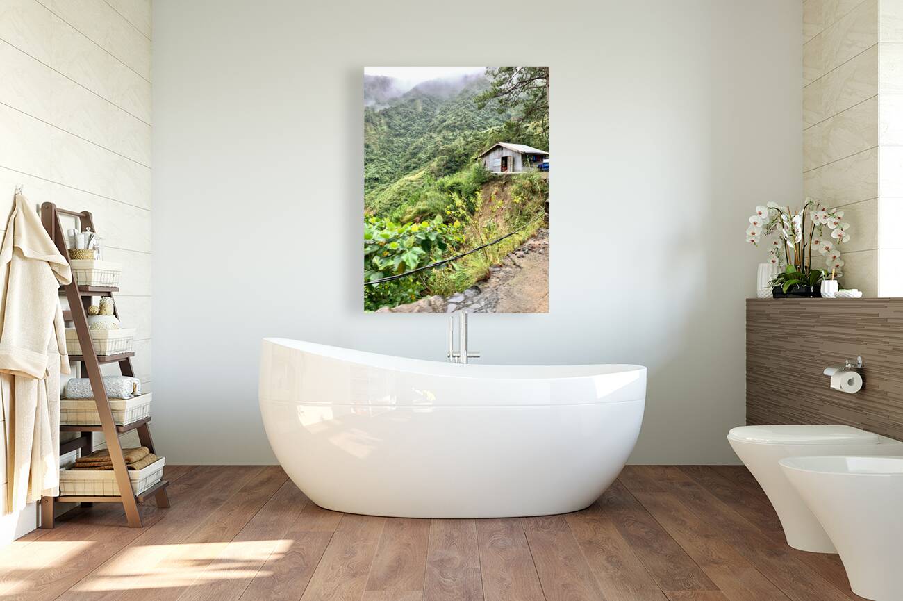 Living in the Mountains Reproduction