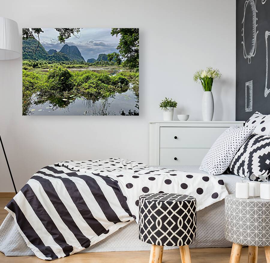 Wetland and Mountains Reproduction