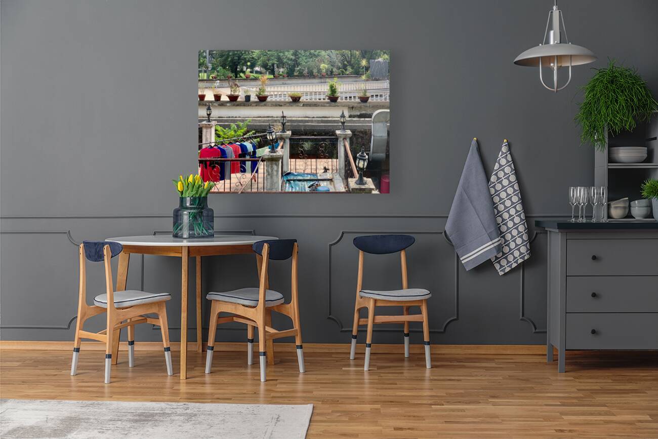 Living Space Reproduction