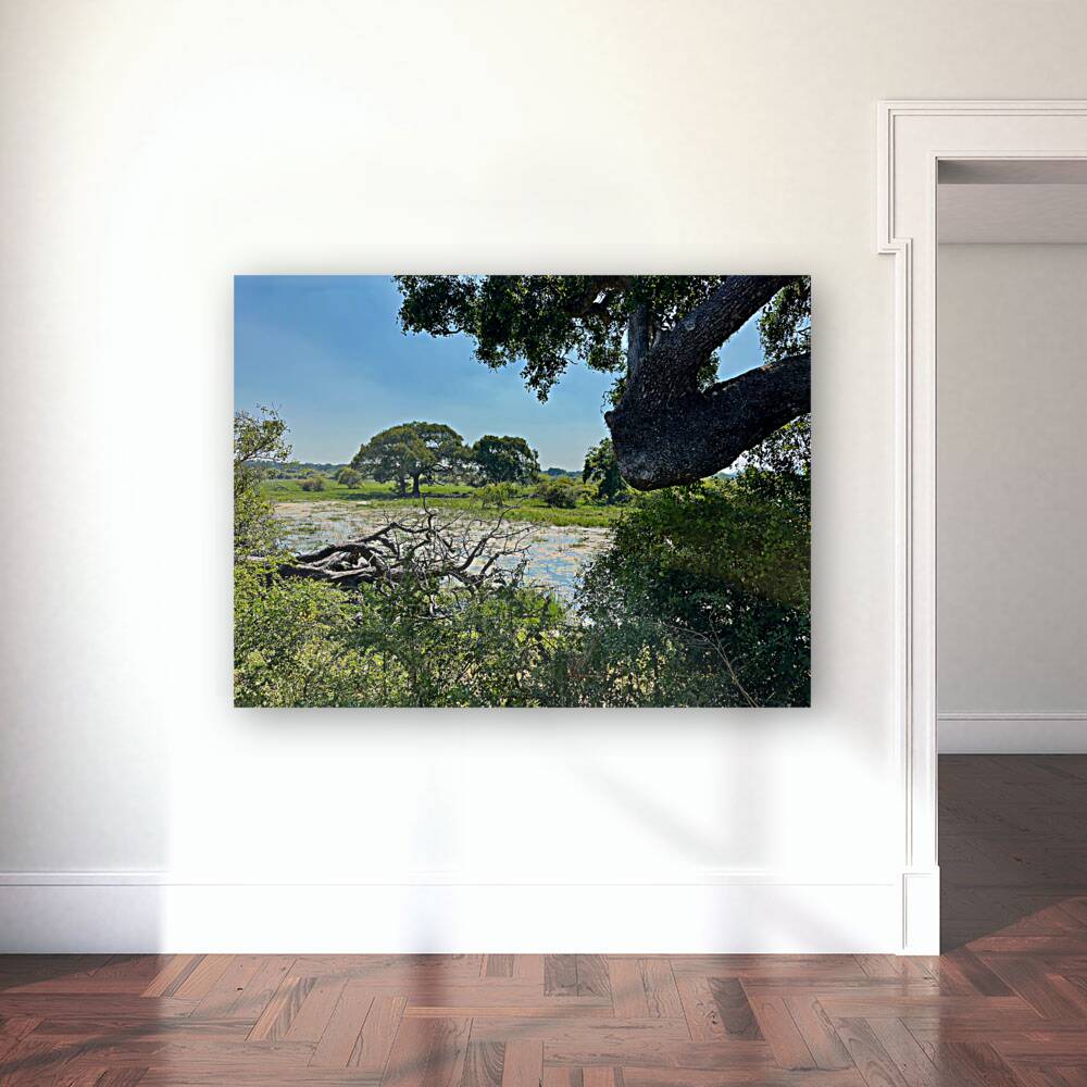 Yala National Park Sri Lanka 3 Reproduction