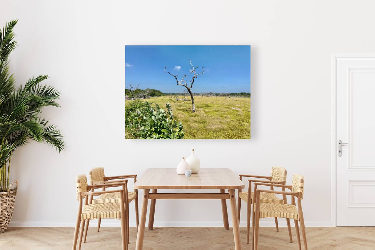 Yala National Park Sri Lanka 2 Reproduction