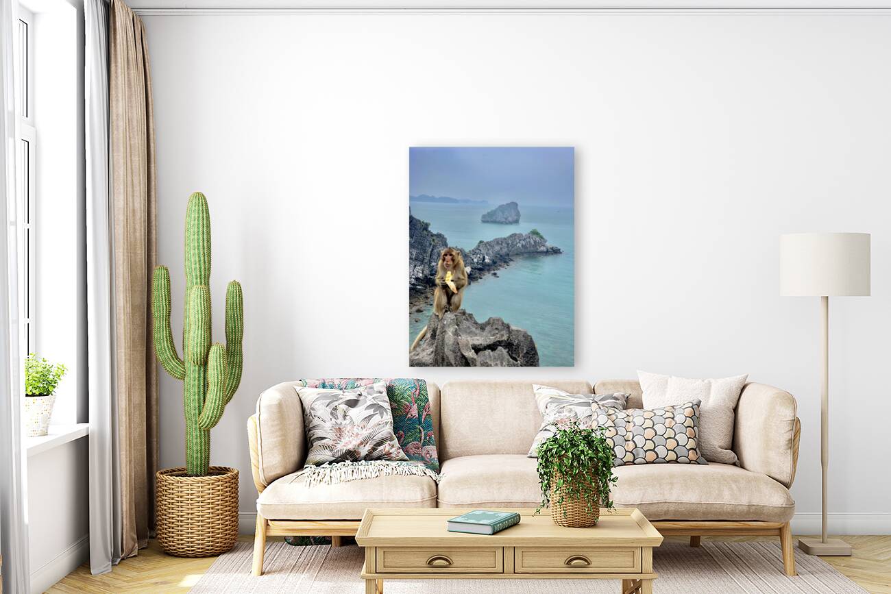 Monkey Eating a Banana Reproduction