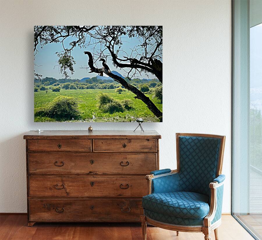 Yala National Park Sri Lanka 4 Reproduction