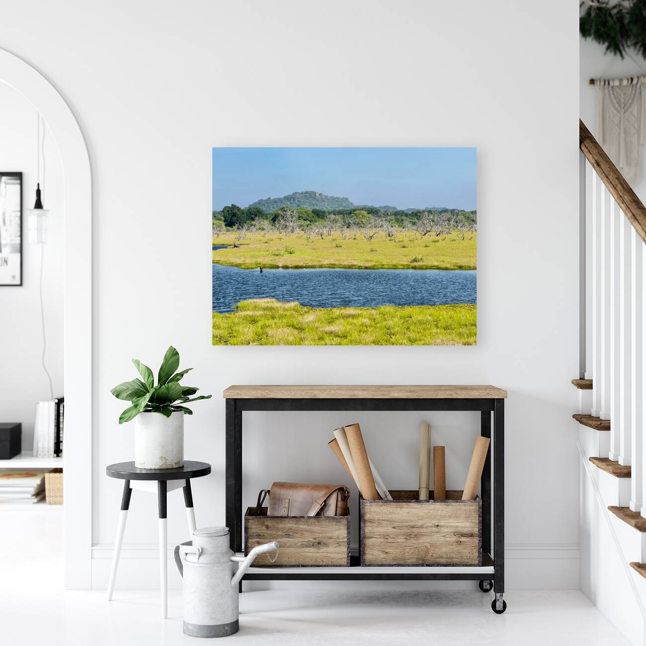 Yala National Park Sri Lanka Reproduction