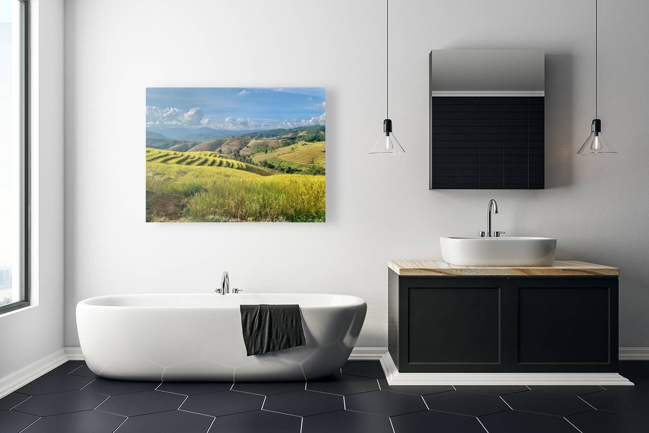 Amazing Rice Fields Reproduction