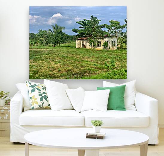 House on the Farm in the Philippines 2 Reproduction