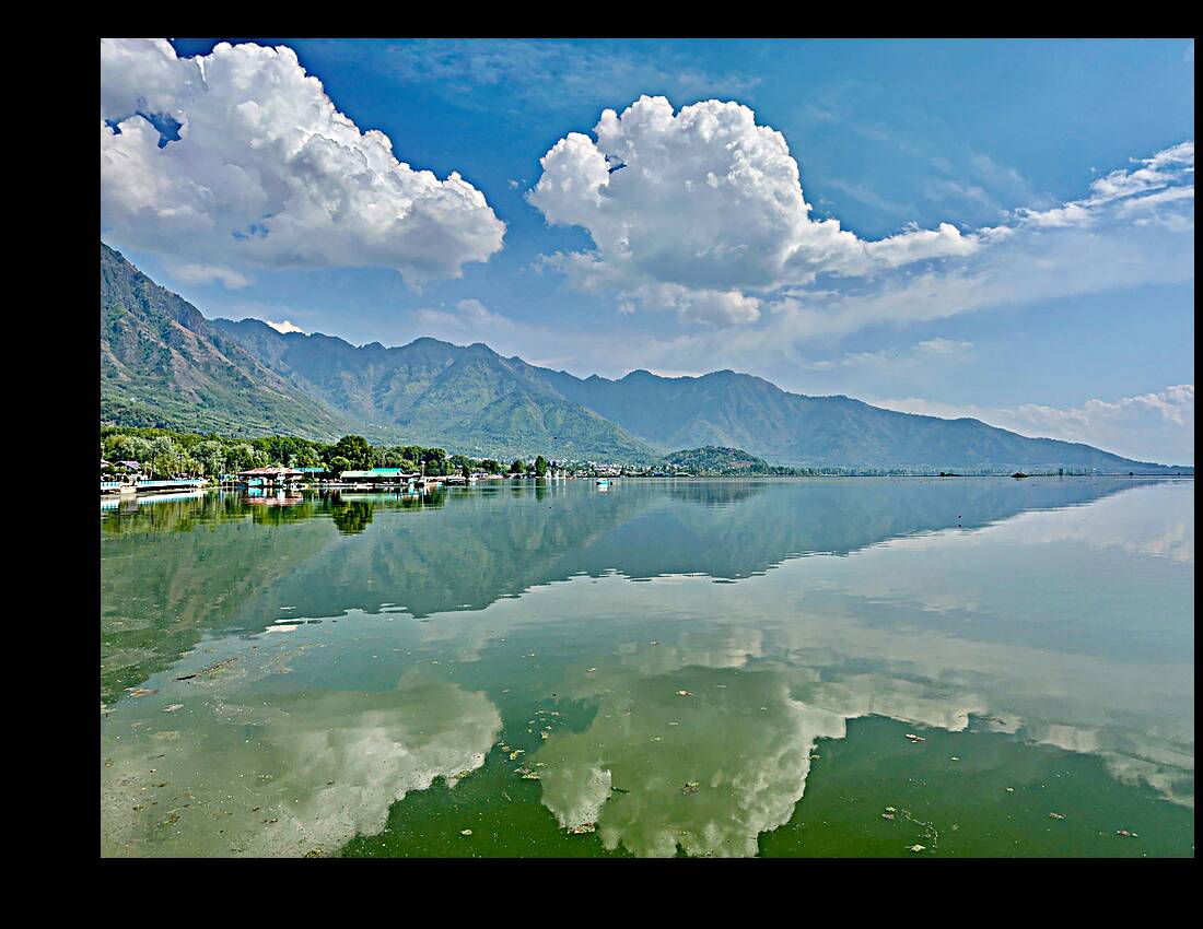 Dal Lake Srinagar 2 Reproduction