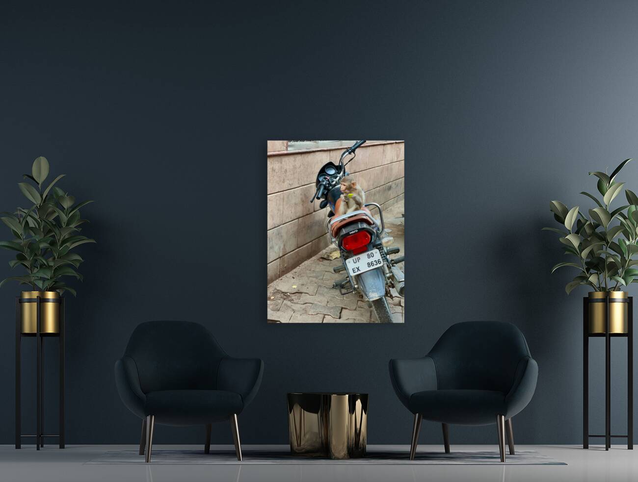 Snack Rider Reproduction