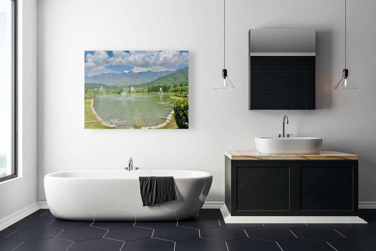 Water Fountains Reproduction