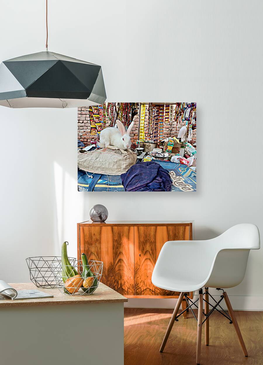 Rabit Magic Reproduction