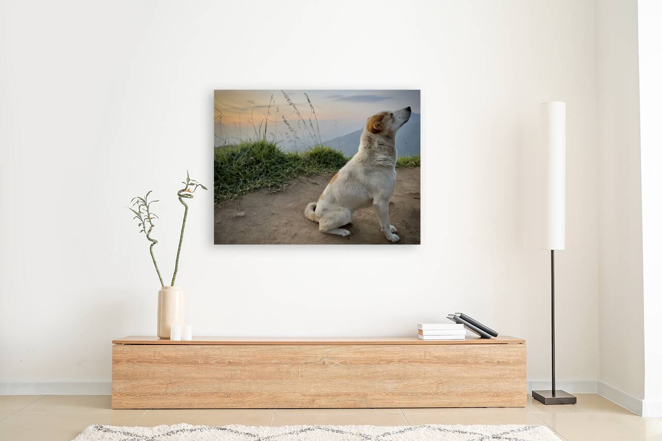 Ella Mountain Dog Reproduction