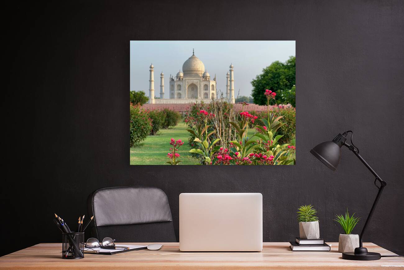 The Taj Mahal Collection 1 Reproduction