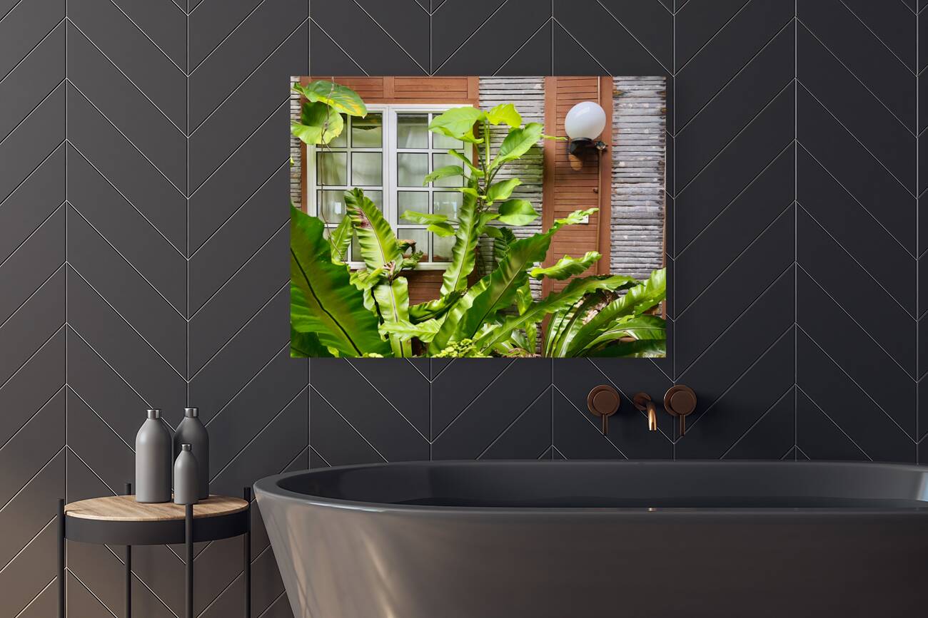 Maboul Island 19 Reproduction