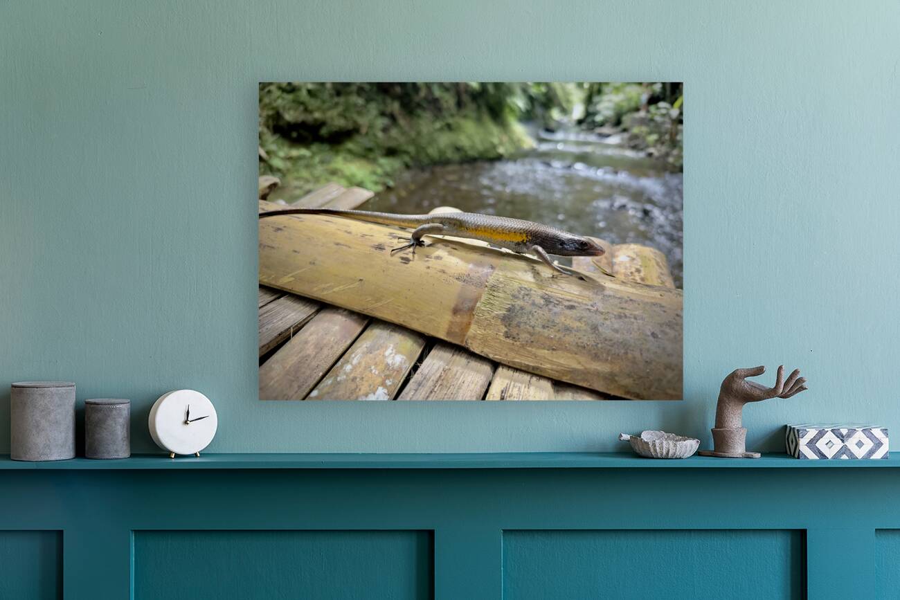 The Lizard Munduk Bali Reproduction