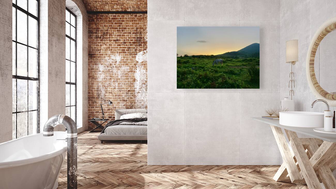 A Horse at Sunrise Jeju South Korea Reproduction