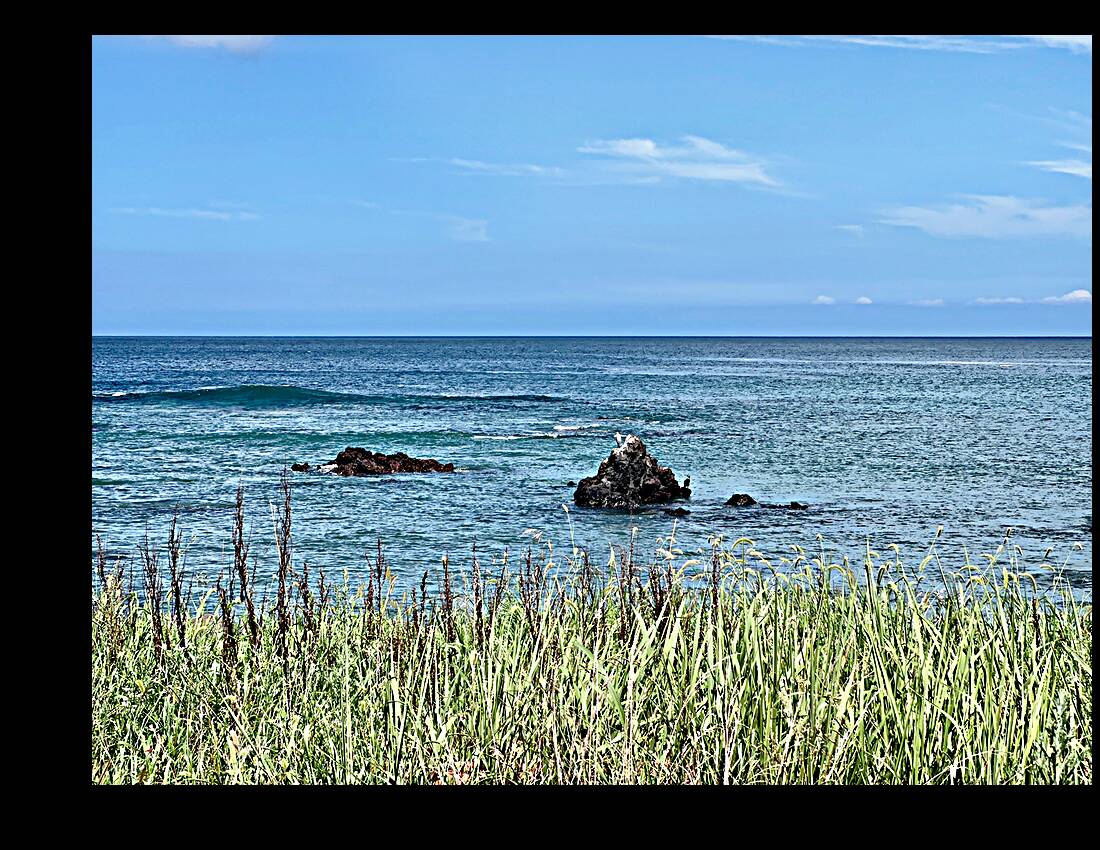 Calm Ocean Udo South Korea Reproduction