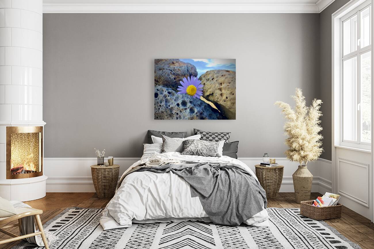 Flower on the Rocks Udo South Korea Reproduction