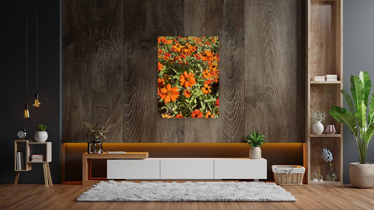 Orange Flowers Seoul South Korea Reproduction